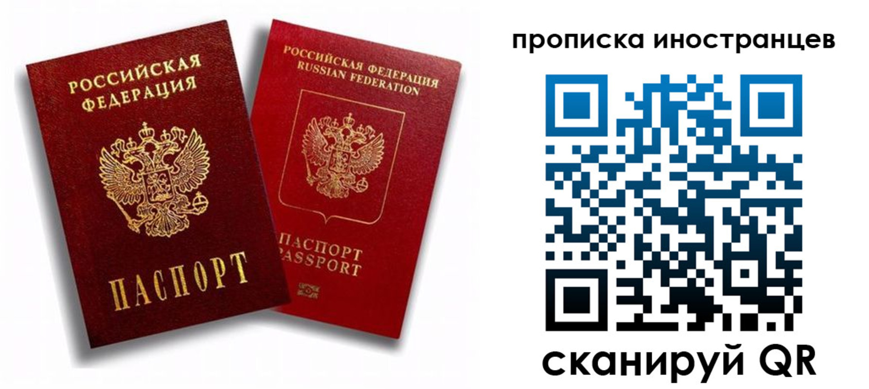 прописка паспорт в Болотном